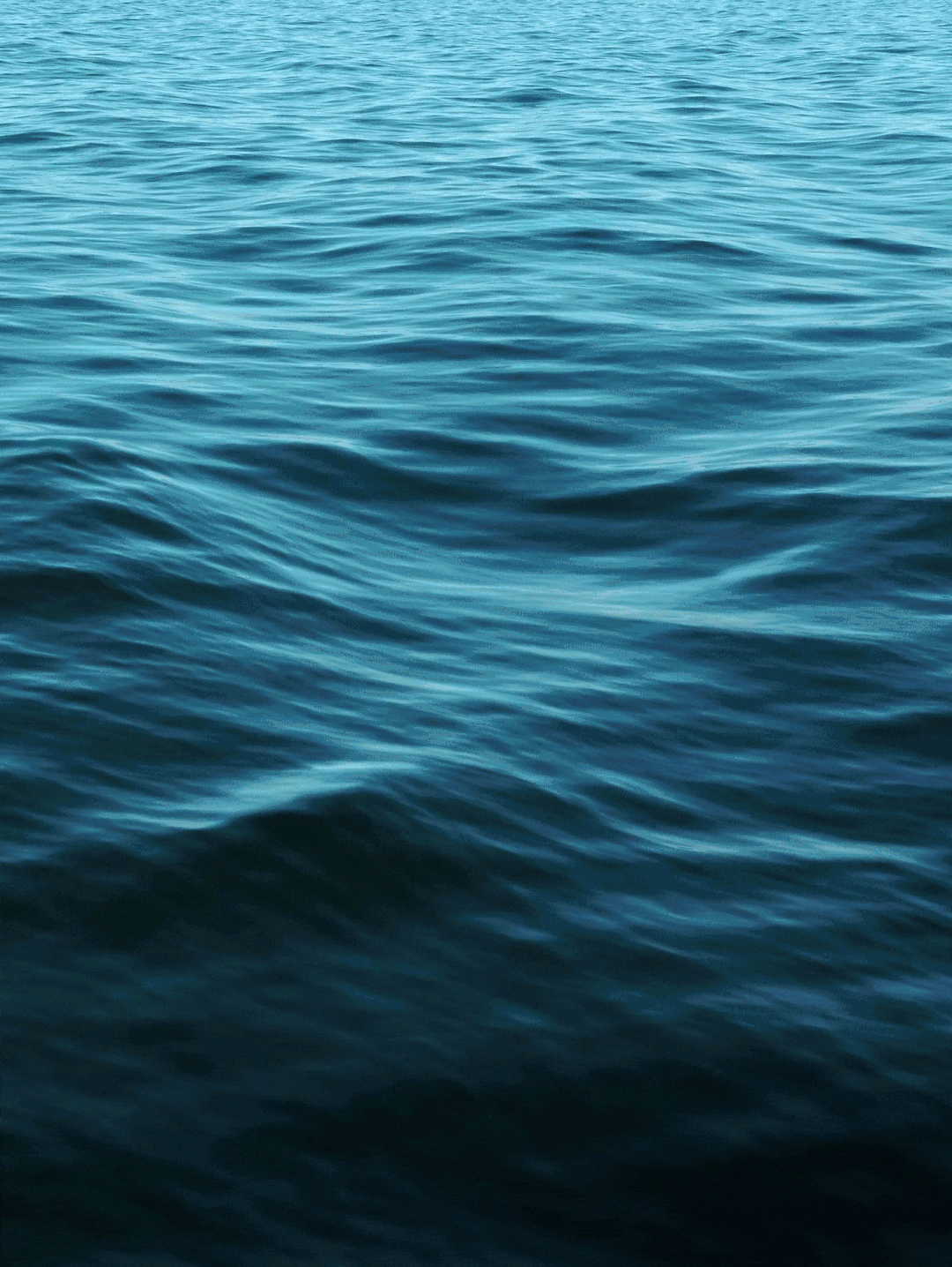 Marluso_132-ezgif.com-resize