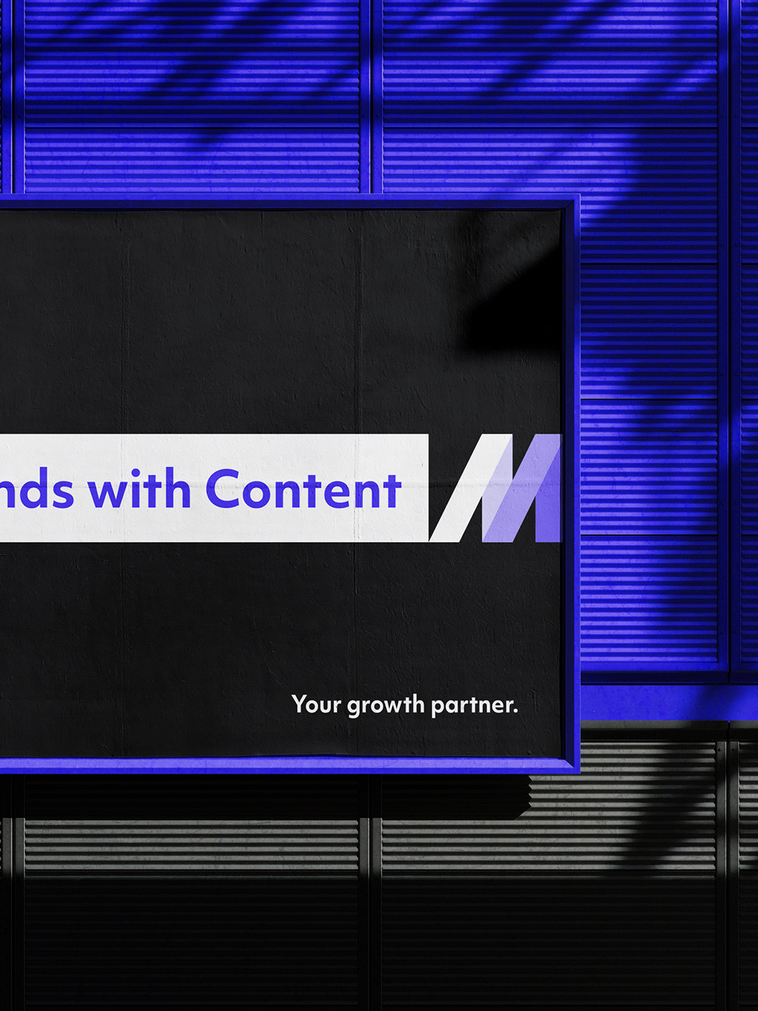 WDM_Imagens_008_1080